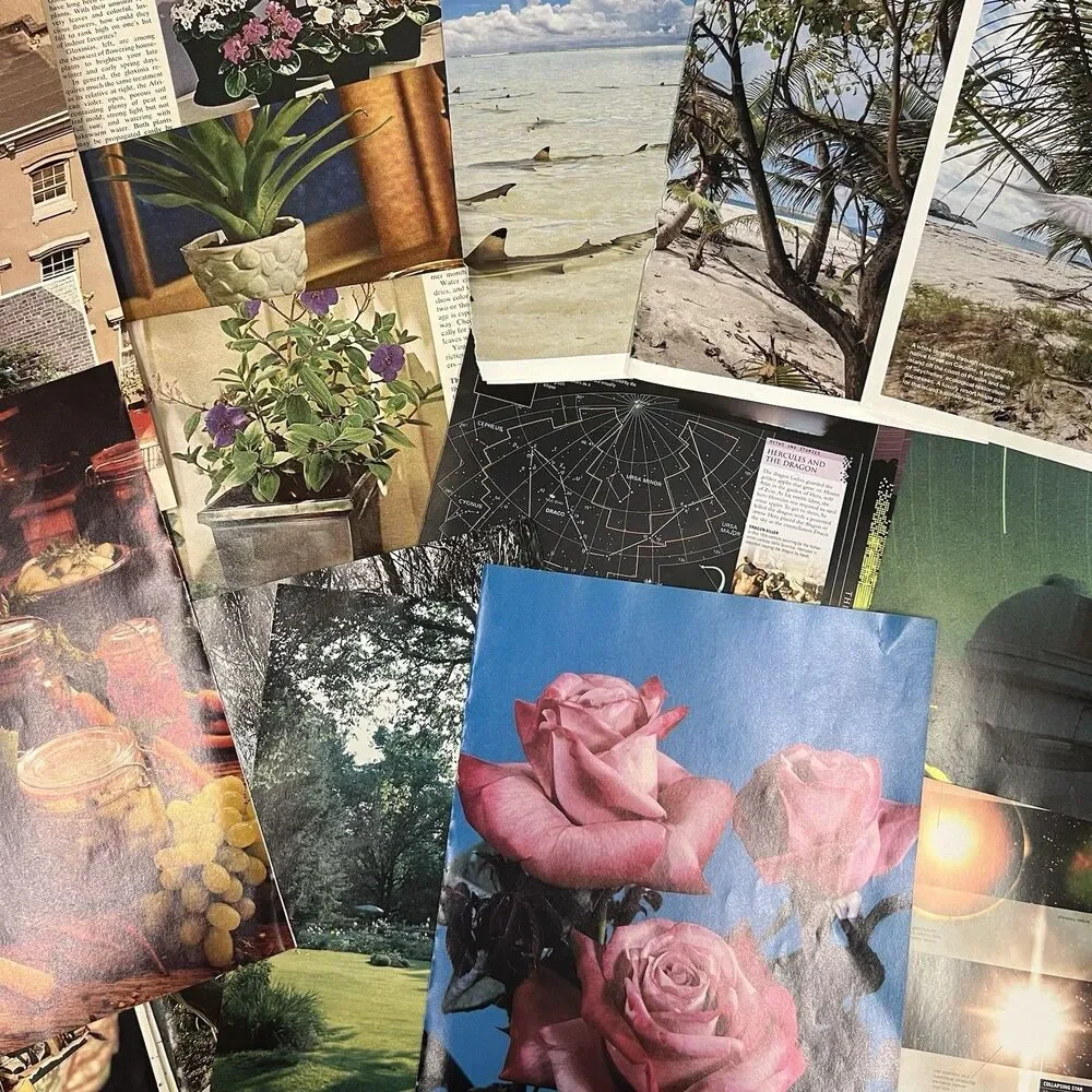 Ephemera Lot 70 Pcs Color Images Book & Magazine Pages Junk Journal Art Crafts